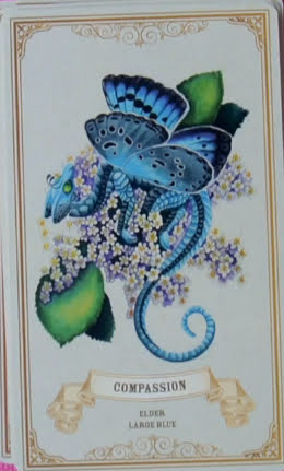 Enchanted Blossoms Empowerment Oracle